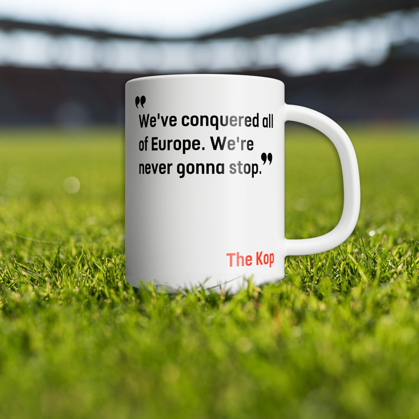 Liverpool Mugs - We've Conquered All Of Europe YNWA LFC LVP00022